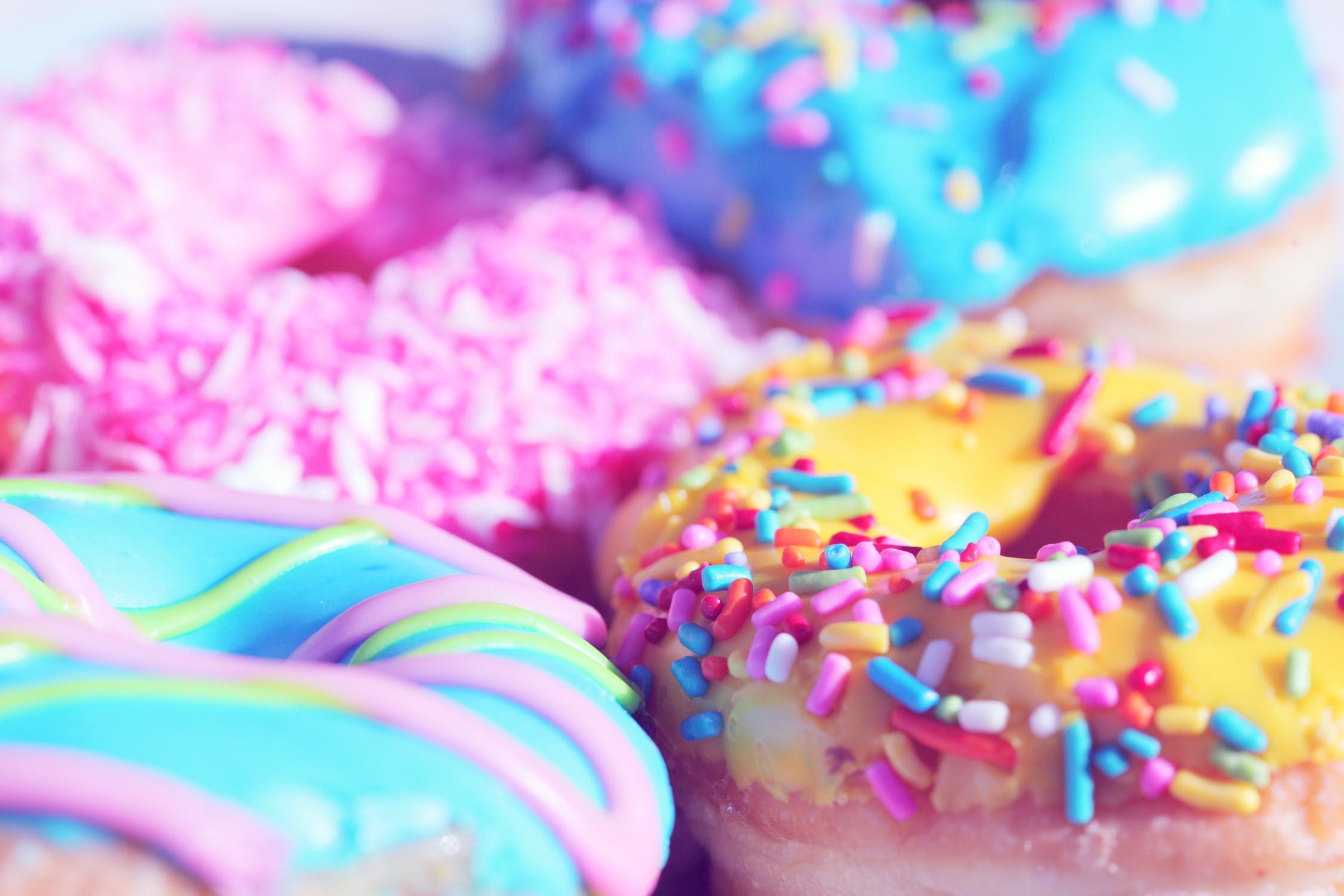 Cheat Day! Where to Find the Best Donuts in Studio City